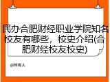 民办合肥财经职业学院知名校友有哪些，校史介绍(合肥财经校友校史)