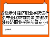 安徽涉外经济职业学院读什么专业比较有前景(安徽涉外经济职业学院前景专业)