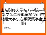 山东财经大学东方学院一年奖学金最多能拿多少(山东财经大学东方学院奖学金上限)