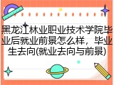 黑龙江林业职业技术学院毕业后就业前景怎么样，毕业生去向(就业去向与前景)
