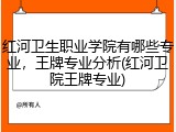 红河卫生职业学院有哪些专业，王牌专业分析(红河卫院王牌专业)