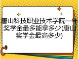 唐山科技职业技术学院一年奖学金最多能拿多少(唐山奖学金最高多少)