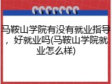 马鞍山学院有没有就业指导，好就业吗(马鞍山学院就业怎么样)