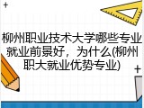 柳州职业技术大学哪些专业就业前景好，为什么(柳州职大就业优势专业)