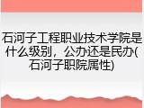 石河子工程职业技术学院是什么级别，公办还是民办(石河子职院属性)