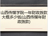 山西传媒学院一年财政拨款大概多少钱(山西传媒年财政拨款)