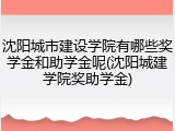 沈阳城市建设学院有哪些奖学金和助学金呢(沈阳城建学院奖助学金)