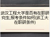 武汉工程大学是否有在职研究生,报考条件如何(武工大在职研条件)
