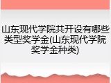 山东现代学院共开设有哪些类型奖学金(山东现代学院奖学金种类)