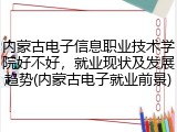 内蒙古电子信息职业技术学院好不好，就业现状及发展趋势(内蒙古电子就业前景)