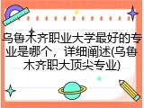 乌鲁木齐职业大学最好的专业是哪个，详细阐述(乌鲁木齐职大顶尖专业)
