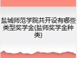 盐城师范学院共开设有哪些类型奖学金(盐师奖学金种类)