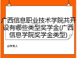 广西信息职业技术学院共开设有哪些类型奖学金(广西信息学院奖学金类型)