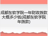 成都东软学院一年财政拨款大概多少钱(成都东软学院年拨款)