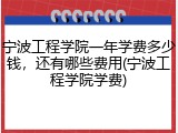 宁波工程学院一年学费多少钱，还有哪些费用(宁波工程学院学费)