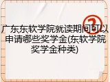广东东软学院就读期间可以申请哪些奖学金(东软学院奖学金种类)