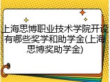 上海思博职业技术学院开设有哪些奖学和助学金(上海思博奖助学金)