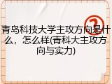 青岛科技大学主攻方向是什么，怎么样(青科大主攻方向与实力)