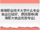青海职业技术大学什么专业就业比较好，原因是啥(青海职大就业优势专业)