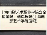 上海电影艺术职业学院含金量量吗，值得报吗(上海电影艺术学院值吗)