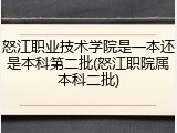 怒江职业技术学院是一本还是本科第二批(怒江职院属本科二批)
