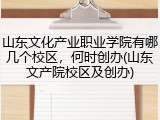 山东文化产业职业学院有哪几个校区，何时创办(山东文产院校区及创办)