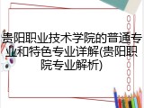 贵阳职业技术学院的普通专业和特色专业详解(贵阳职院专业解析)