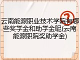 云南能源职业技术学院有哪些奖学金和助学金呢(云南能源职院奖助学金)
