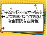辽宁冶金职业技术学院专业开设有哪些,特色在哪(辽宁冶金职院专业特色)