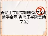 青岛工学院有哪些奖学金和助学金呢(青岛工学院奖助学金)