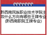 黔西南民族职业技术学院主攻什么方向有哪些王牌专业(黔西南职院王牌专业)
