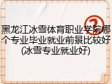 黑龙江冰雪体育职业学院哪个专业毕业就业前景比较好(冰雪专业就业好)