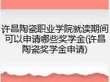 许昌陶瓷职业学院就读期间可以申请哪些奖学金(许昌陶瓷奖学金申请)