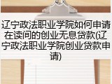 辽宁政法职业学院如何申请在读间的创业无息贷款(辽宁政法职业学院创业贷款申请)