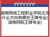 湖南网络工程职业学院主攻什么方向有哪些王牌专业(湖南网院王牌专业)