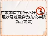 广东东软学院好不好，就业现状及发展趋势(东软学院就业前景)