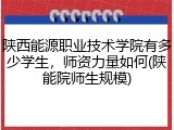 陕西能源职业技术学院有多少学生，师资力量如何(陕能院师生规模)