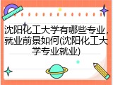 沈阳化工大学有哪些专业，就业前景如何(沈阳化工大学专业就业)