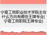 宁夏工商职业技术学院主攻什么方向有哪些王牌专业(宁夏工商职院王牌专业)