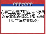 安徽工业经济职业技术学院的专业设置概况介绍(安徽工经学院专业概览)
