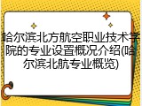 哈尔滨北方航空职业技术学院的专业设置概况介绍(哈尔滨北航专业概览)