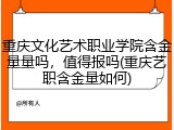 重庆文化艺术职业学院含金量量吗，值得报吗(重庆艺职含金量如何)