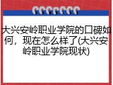 大兴安岭职业学院的口碑如何，现在怎么样了(大兴安岭职业学院现状)