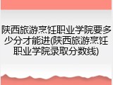 陕西旅游烹饪职业学院要多少分才能进(陕西旅游烹饪职业学院录取分数线)