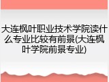 大连枫叶职业技术学院读什么专业比较有前景(大连枫叶学院前景专业)