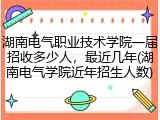湖南电气职业技术学院一届招收多少人，最近几年(湖南电气学院近年招生人数)
