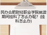 民办合肥财经职业学院就读期间挂科了怎么办呢？(挂科怎么办)