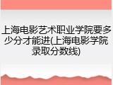 上海电影艺术职业学院要多少分才能进(上海电影学院录取分数线)