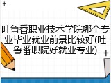 吐鲁番职业技术学院哪个专业毕业就业前景比较好(吐鲁番职院好就业专业)