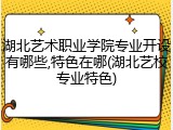 湖北艺术职业学院专业开设有哪些,特色在哪(湖北艺校专业特色)
